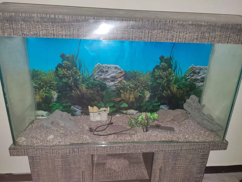 Large Aquarium with 2 full Cabinets and a decent storage space — photo 10
