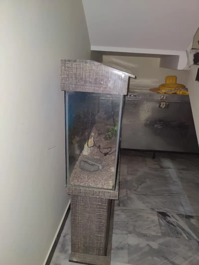 Large Aquarium with 2 full Cabinets and a decent storage space — photo 11