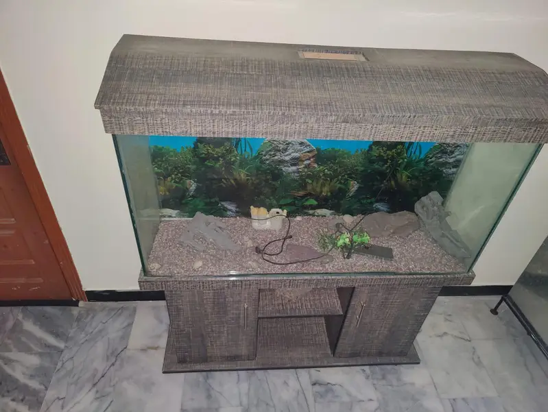 Large Aquarium with 2 full Cabinets and a decent storage space — photo 12