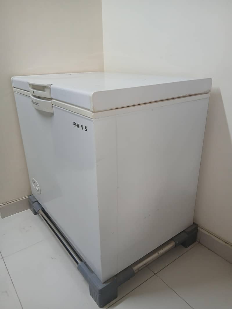 Deep Freezer 1