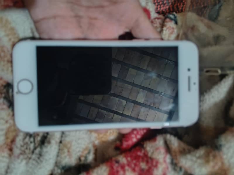 03140460378 1