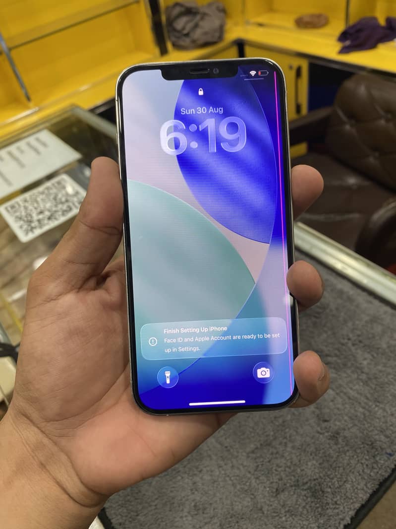 Apple iPhone 12 Pro Max 2