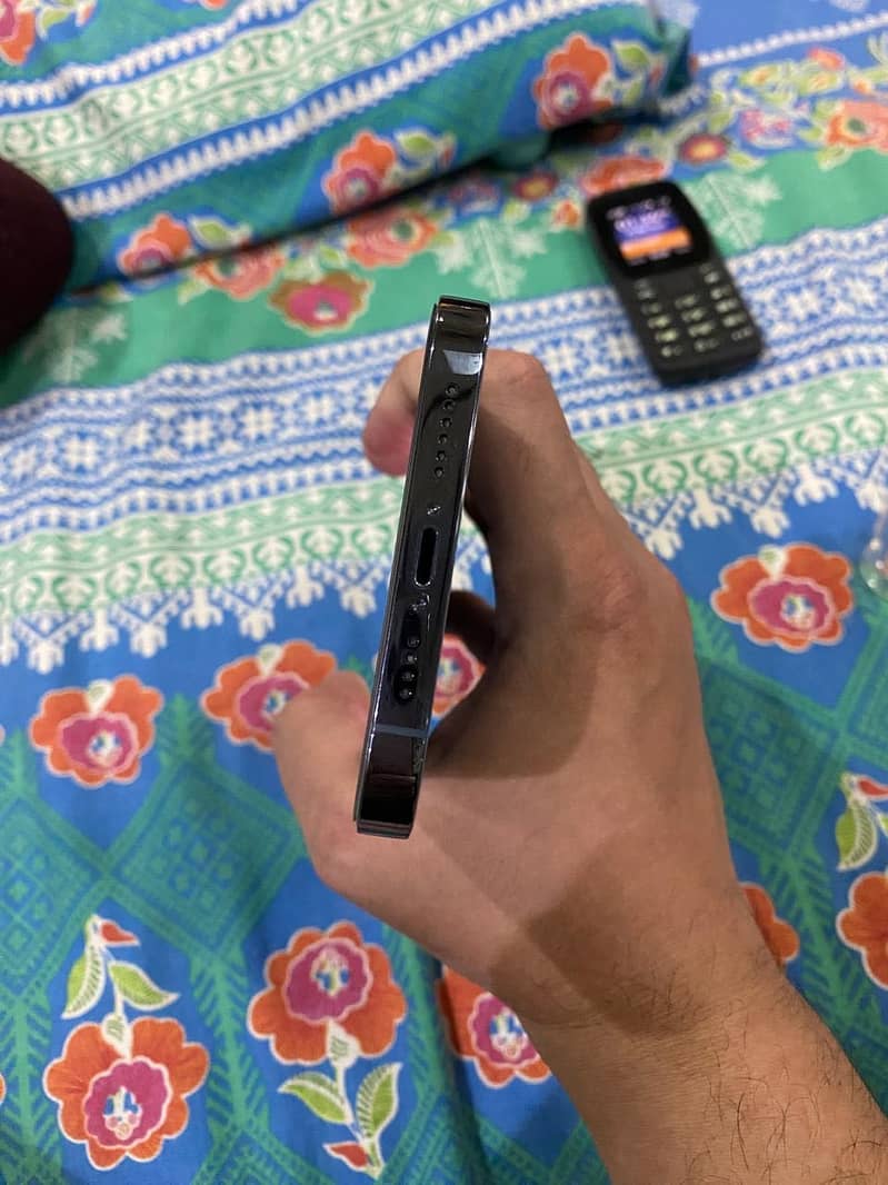 Apple iPhone 13 Pro Max 3
