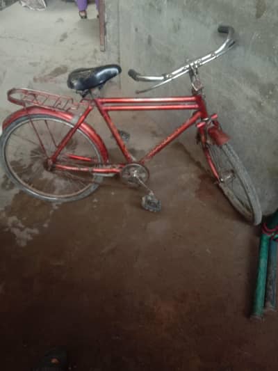 Dothan cycle