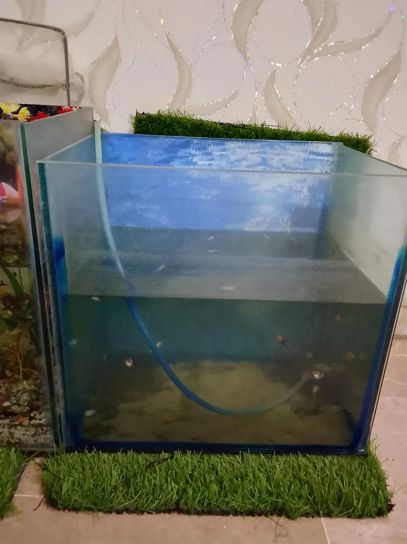 Aquarium with fishes with all acceires. — photo 2
