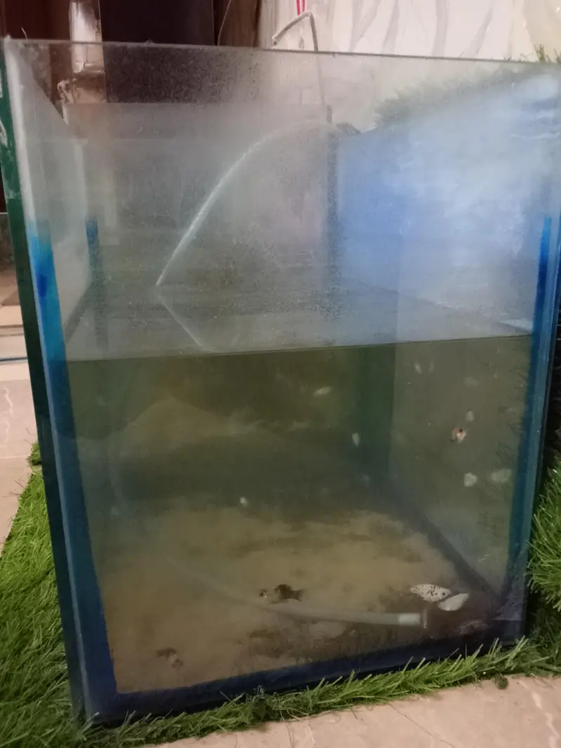Aquarium with fishes with all acceires. — photo 3