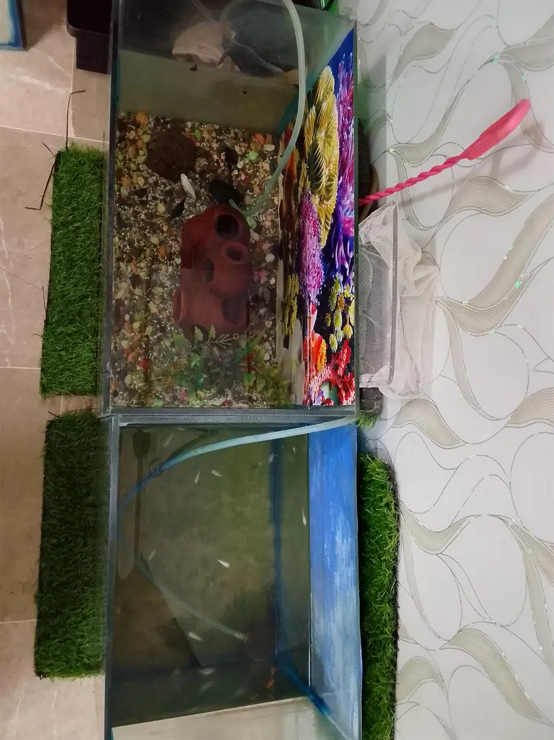 Aquarium with fishes with all acceires. — photo 4
