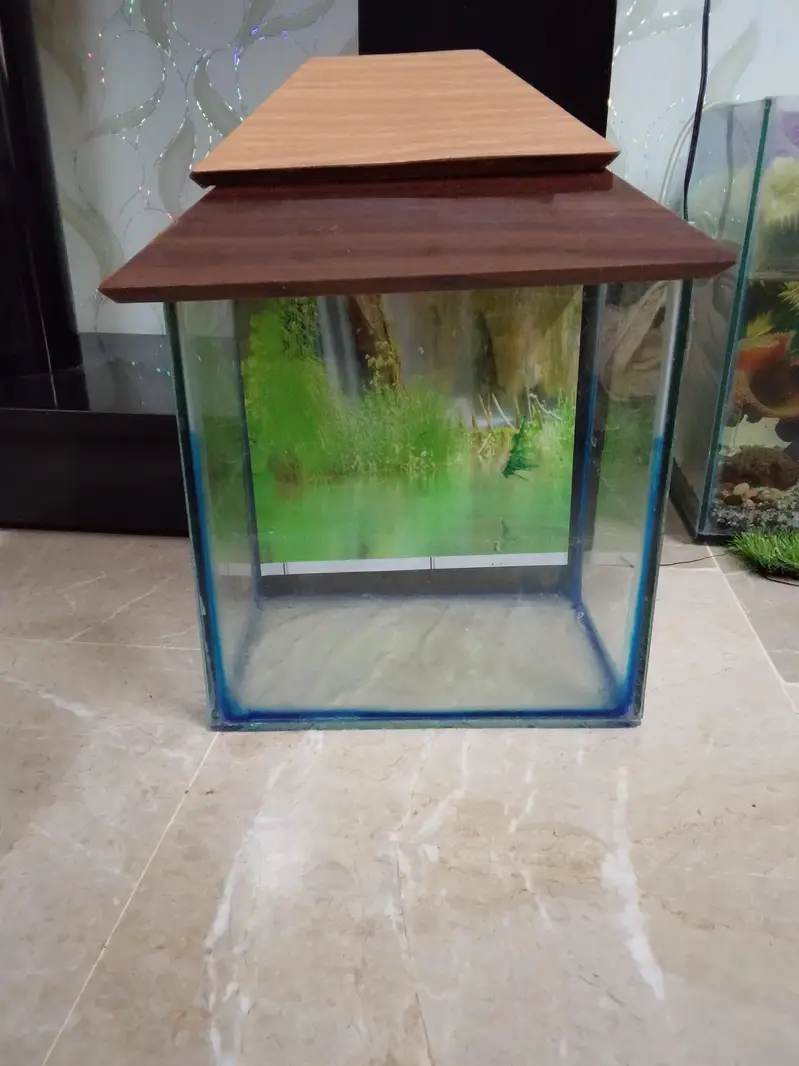Aquarium with fishes with all acceires. — photo 5