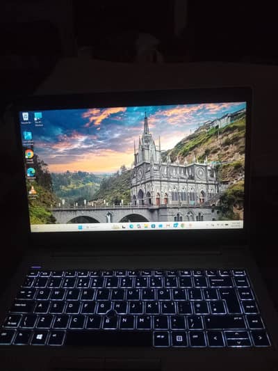 HP EliteBook 745 G6 - Ryzen 7 PRO, 8GB RAM, 238GB SSD, Windows 11