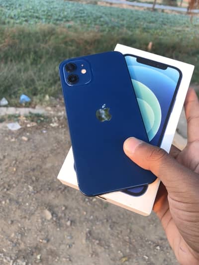 I phone 12 pta approved