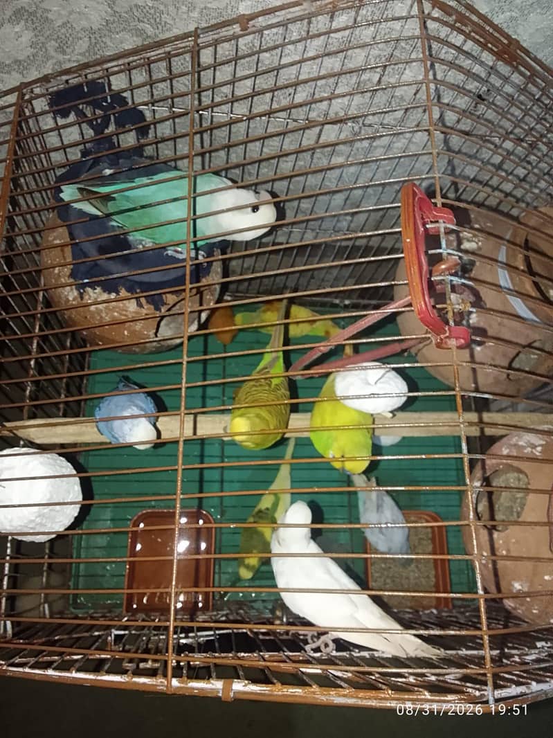 for sell 1