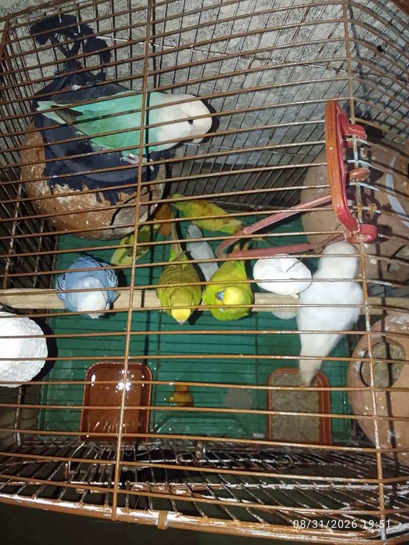 for sell 2
