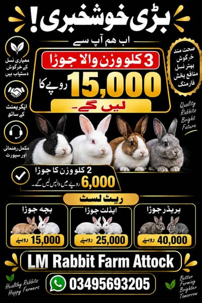 RABBIT AVAILABLE