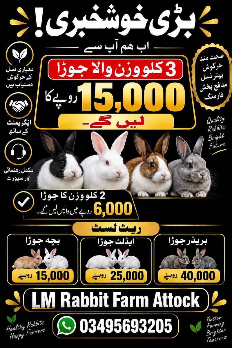 RABBIT AVAILABLE 0