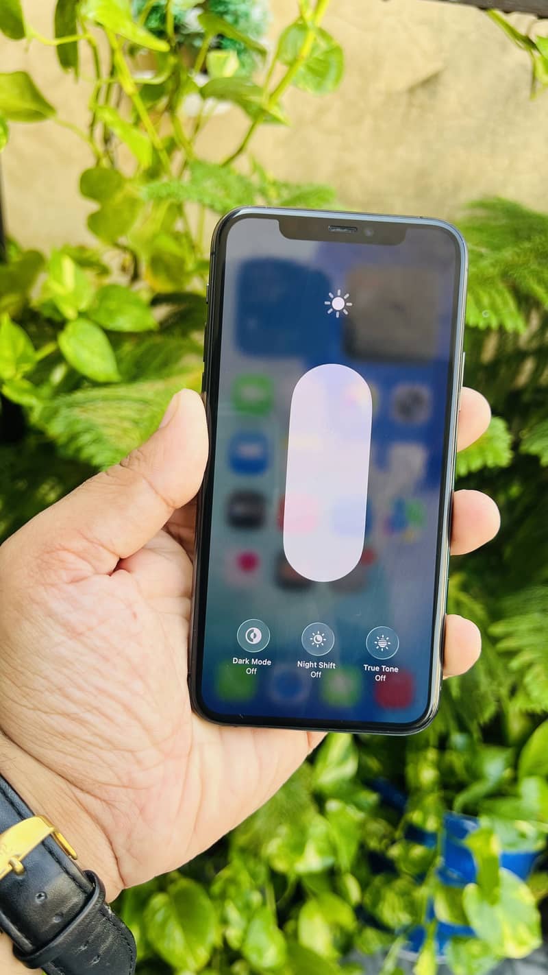 Iphone 11Pro 6
