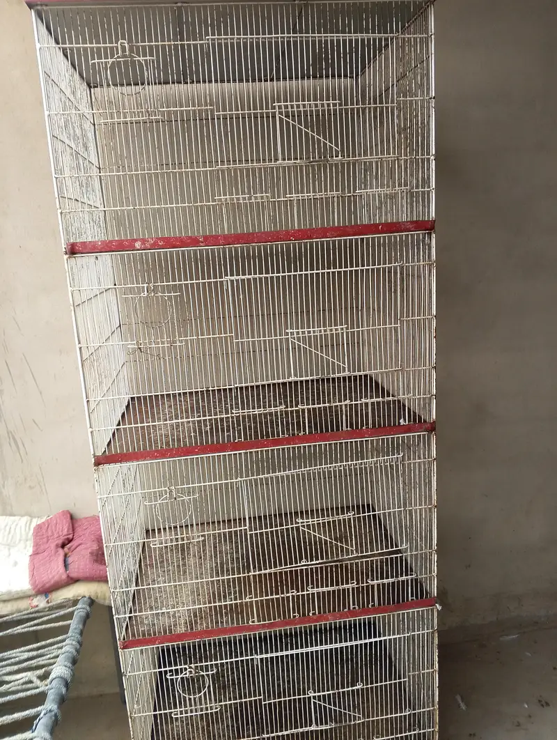 Cage for sale  size 2 by 2.5 tray everything is ok 4 portions — photo 2