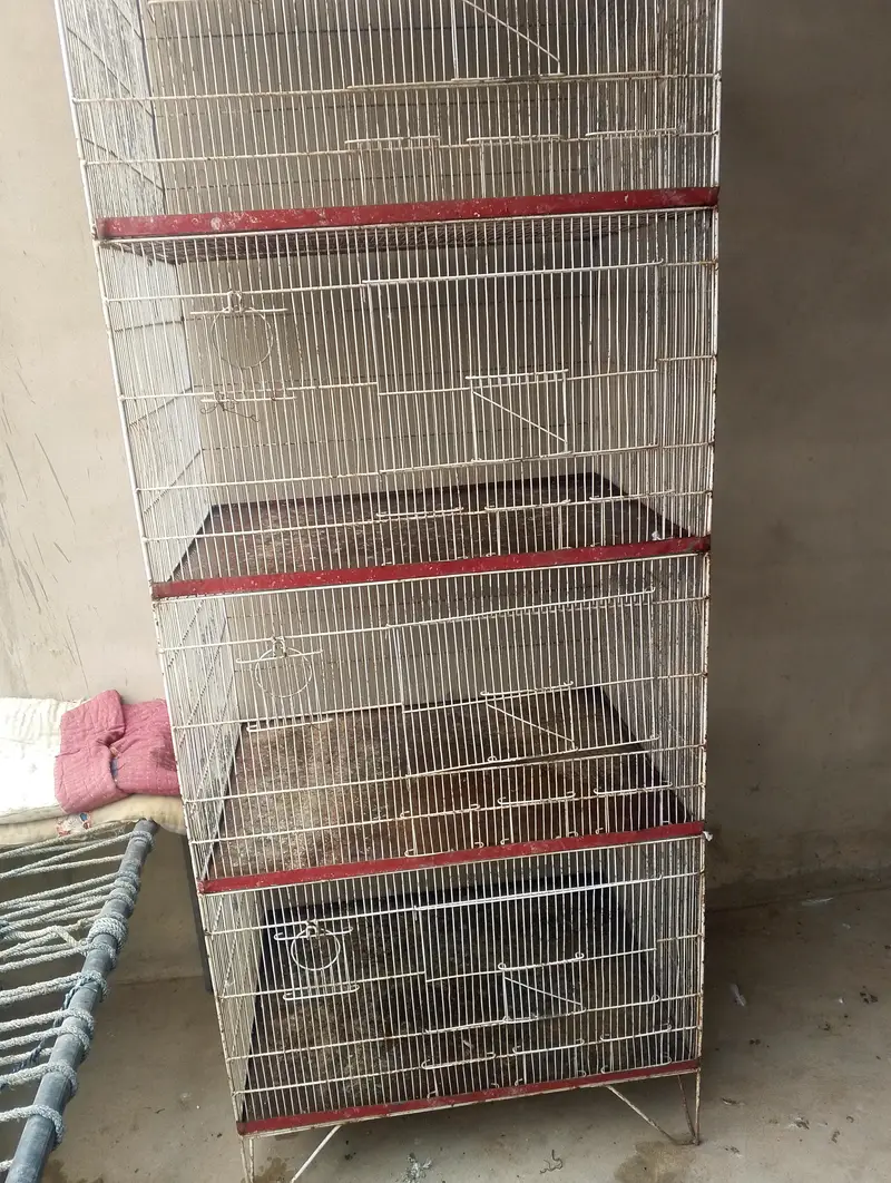 Cage for sale  size 2 by 2.5 tray everything is ok 4 portions — photo 3