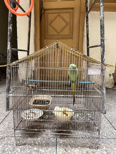Cages
