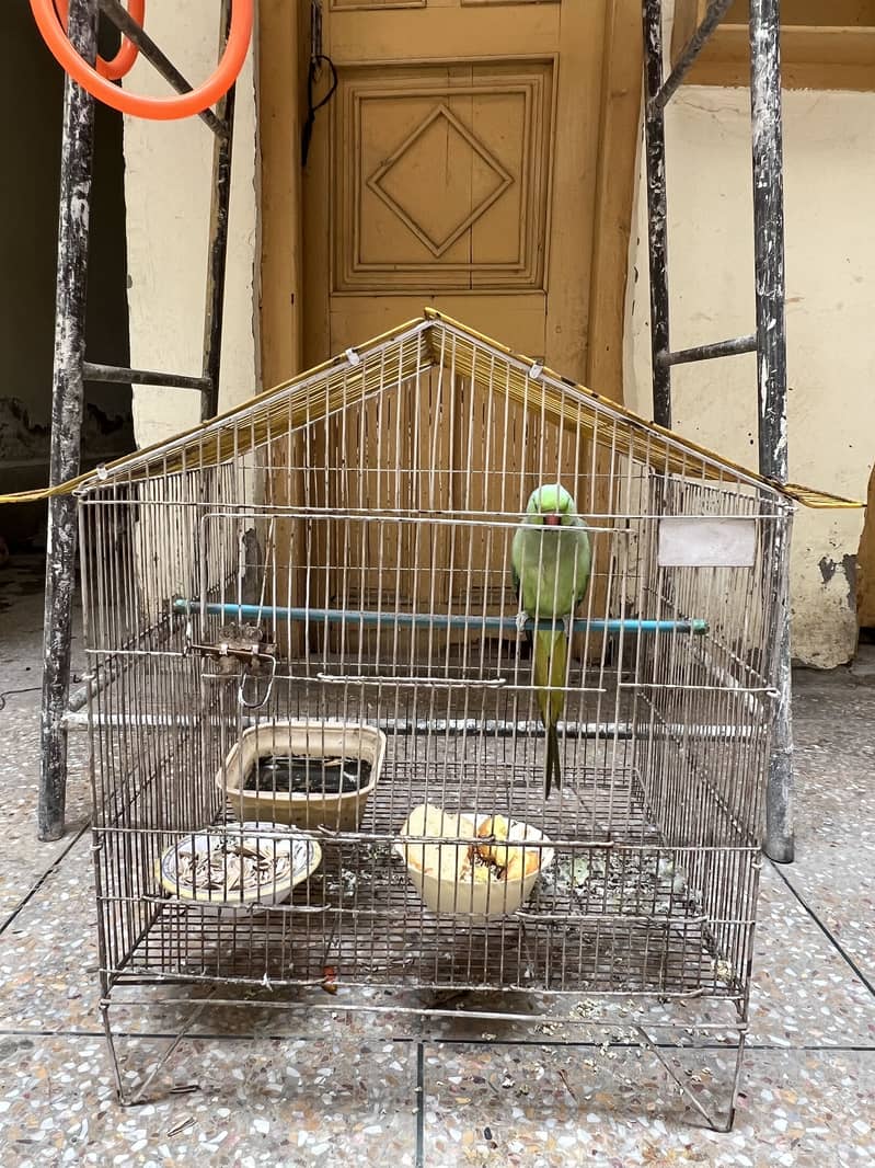Cages 1