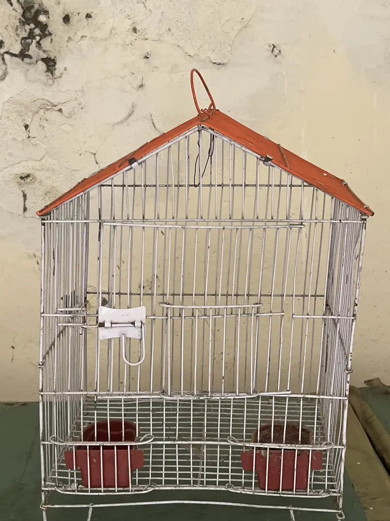 Cages — photo 3