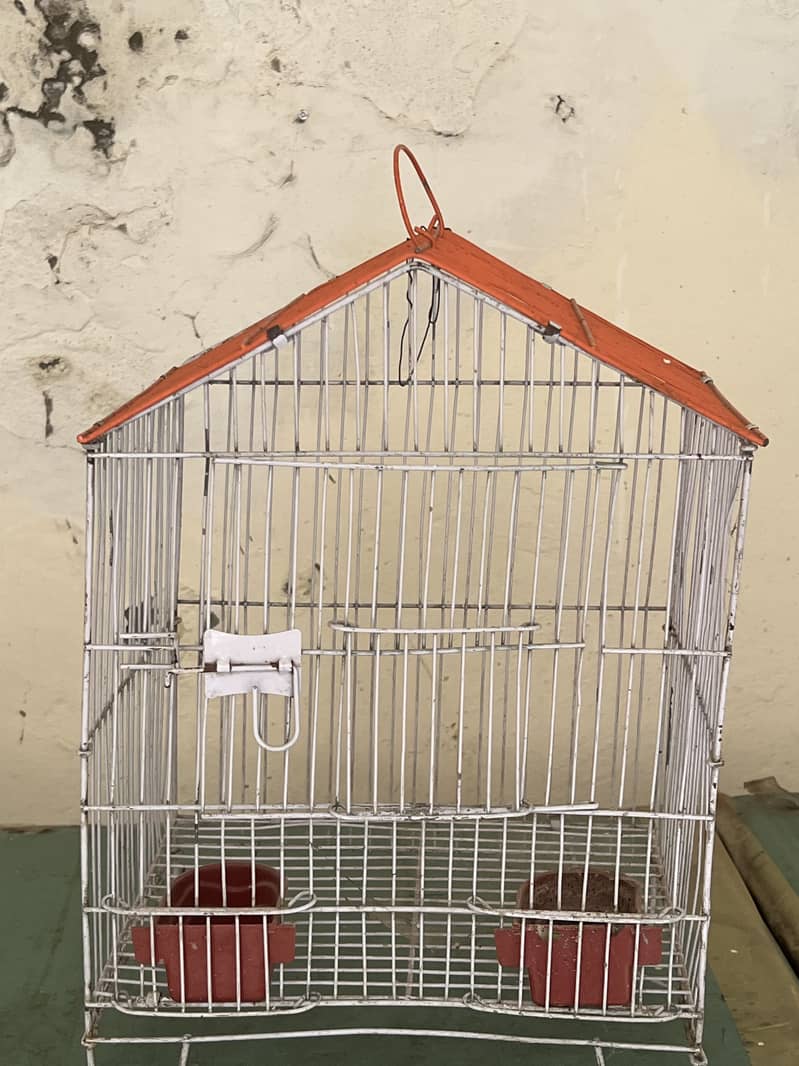 Cages 3
