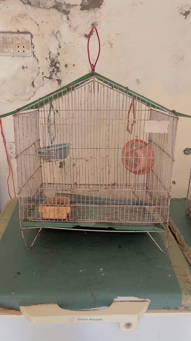 Cages 4