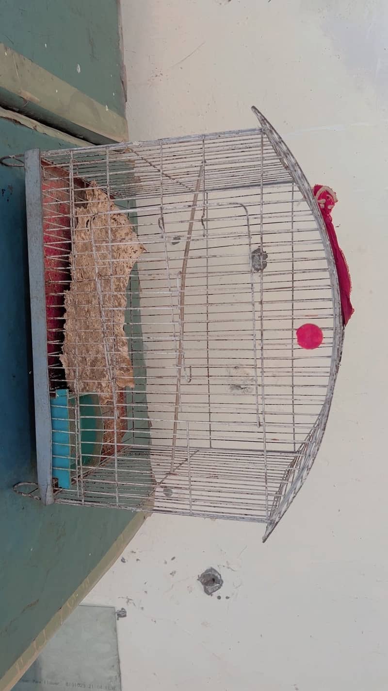Cages 5
