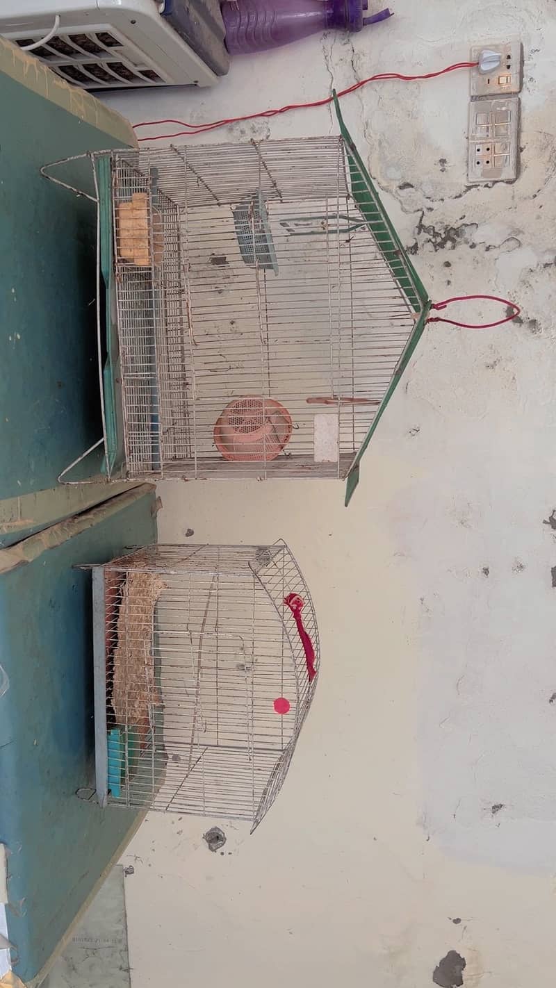 Cages 6