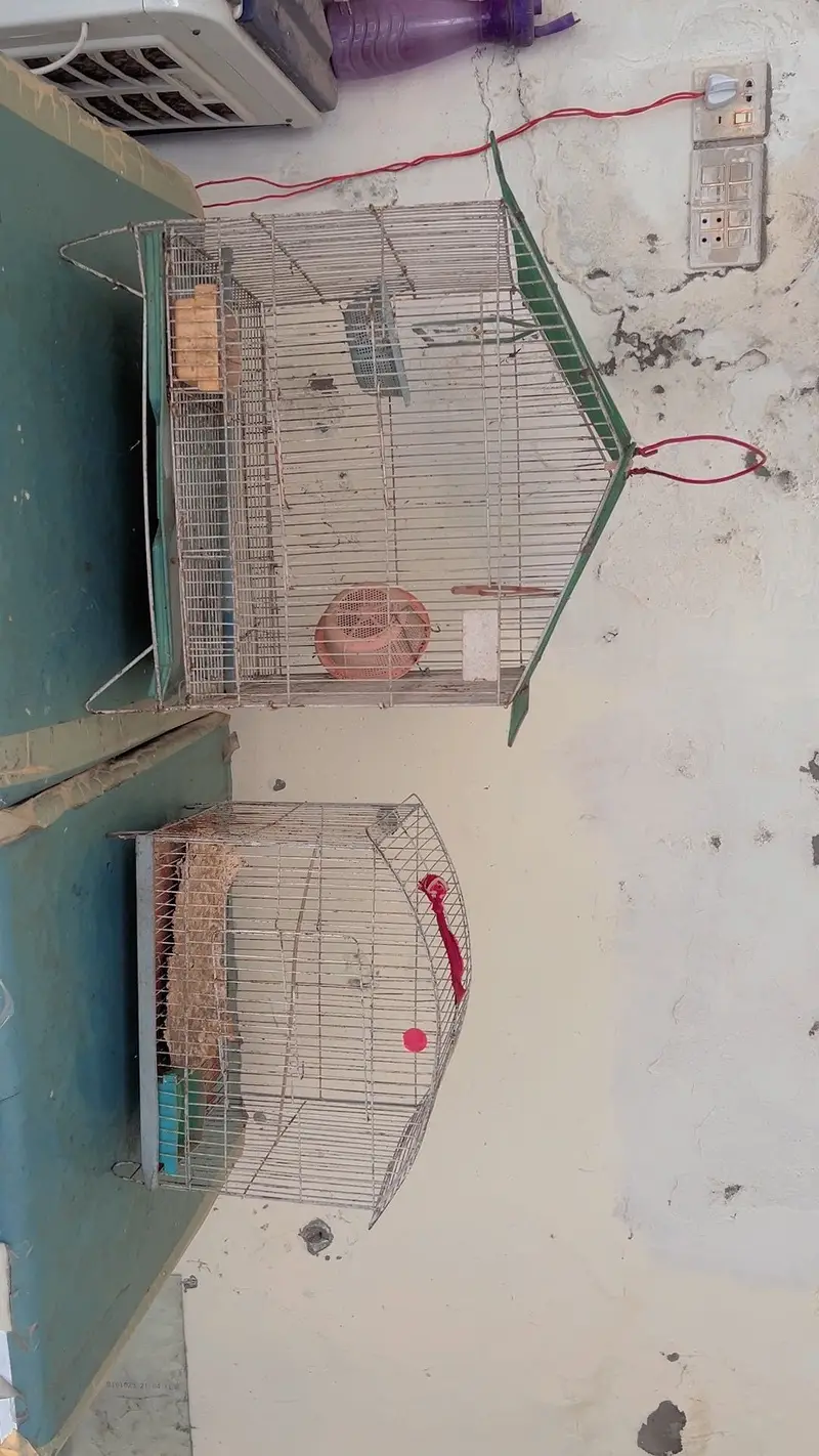 Cages — photo 7