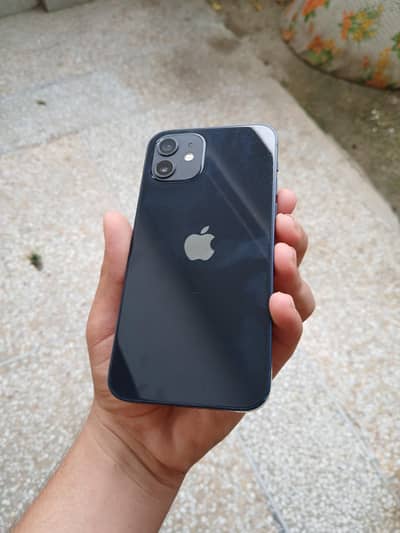 Apple iPhone 12 64gb non pta read add exchange possible