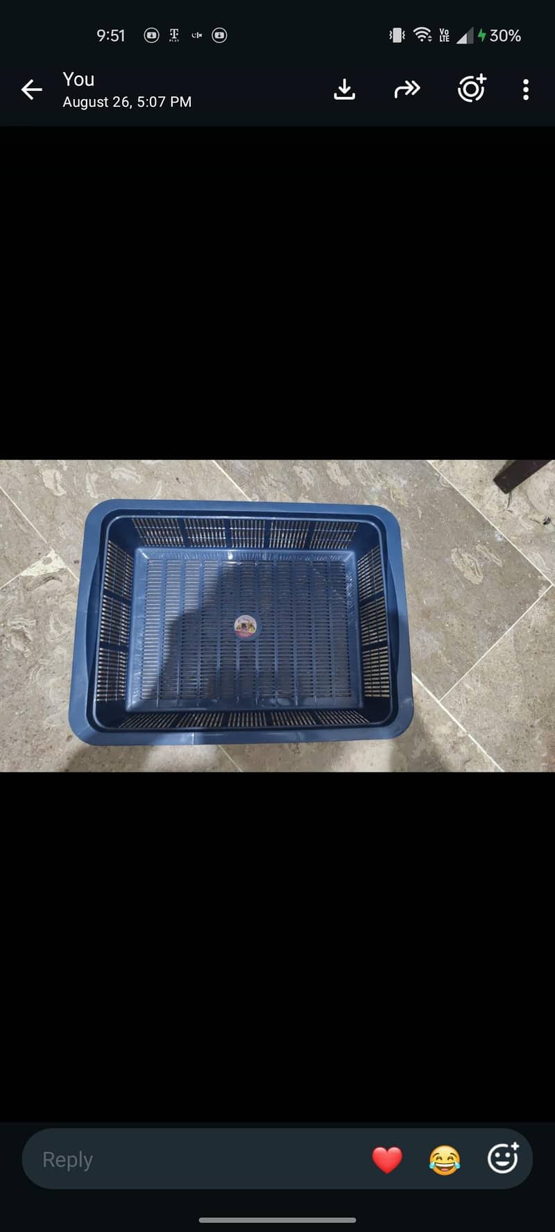 vegetables basket 1