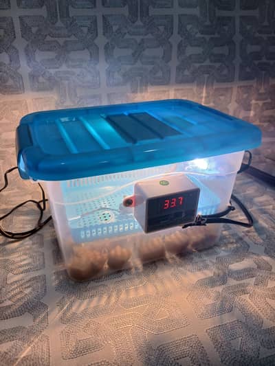 12 eggs capacity egg incubator 0302432993
