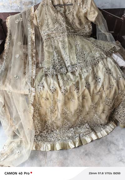 Kashi style mirror work Lenhga choli in light mehndi colour