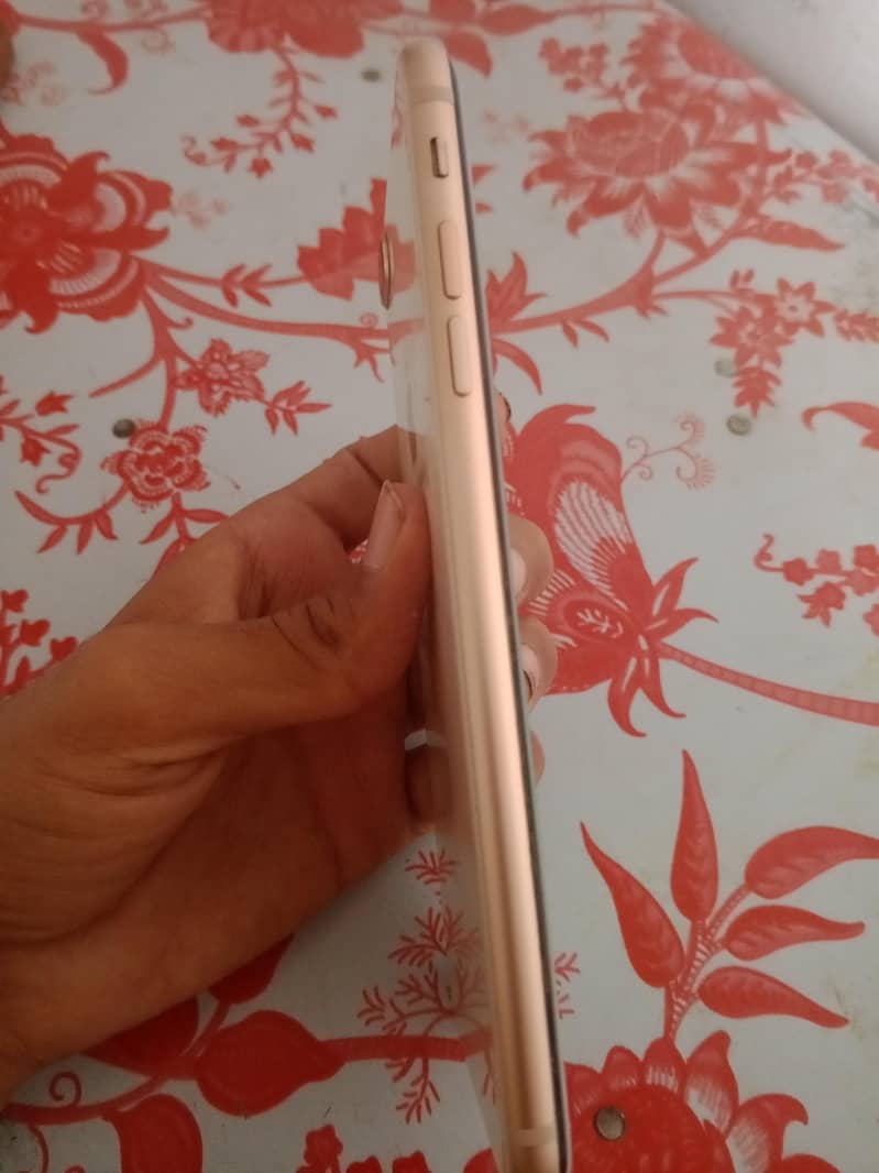 Apple iPhone 8 Plus 3