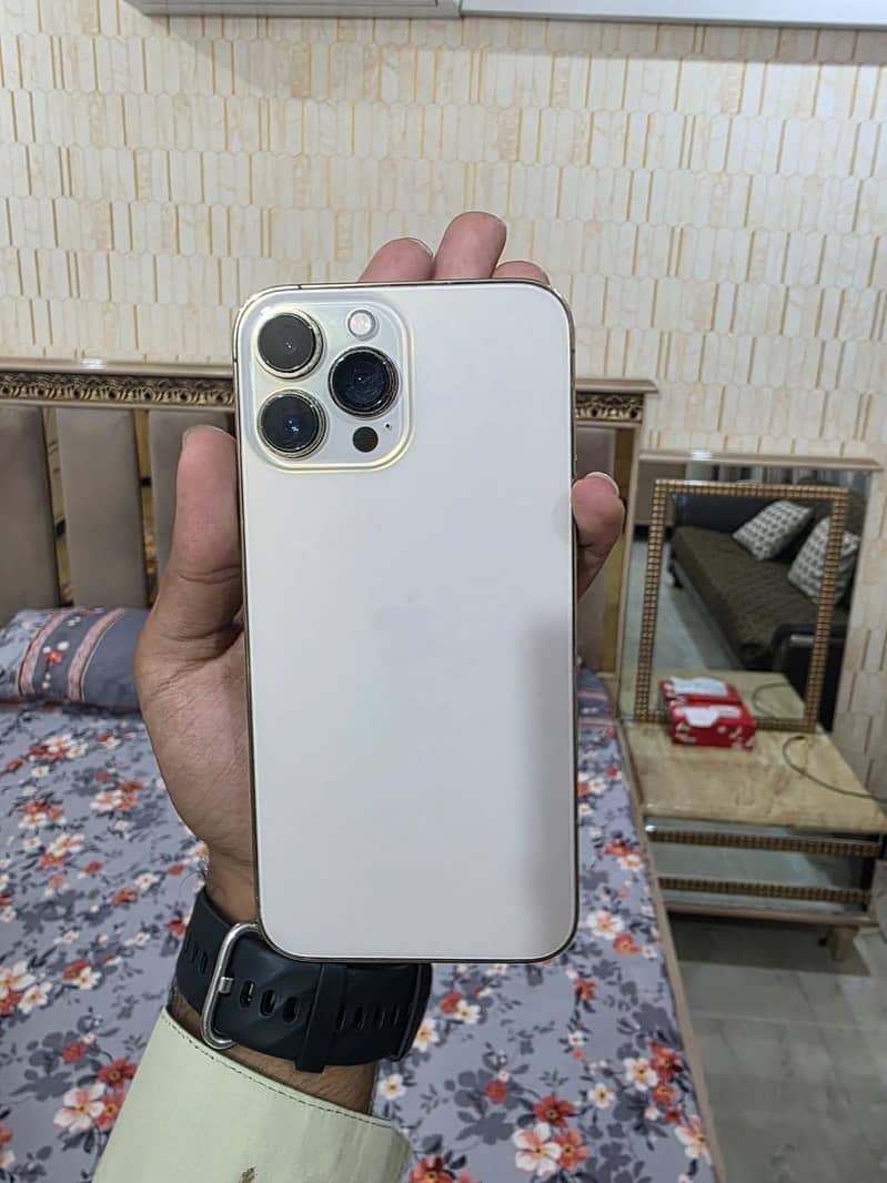 Apple iPhone 13 Pro Max 0