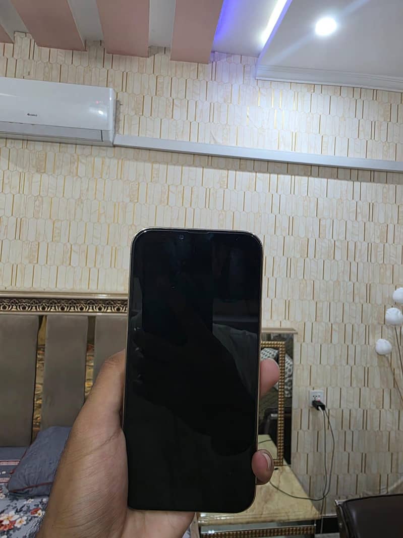 Apple iPhone 13 Pro Max 2