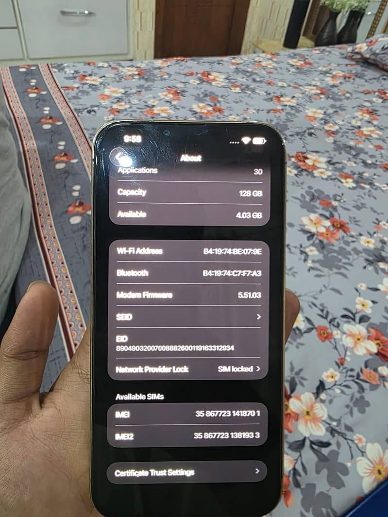 Apple iPhone 13 Pro Max 4