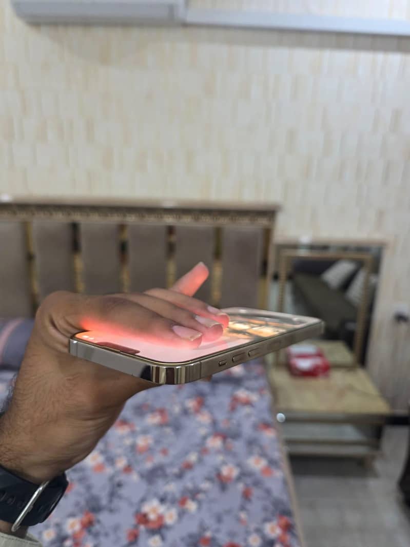 Apple iPhone 13 Pro Max 5