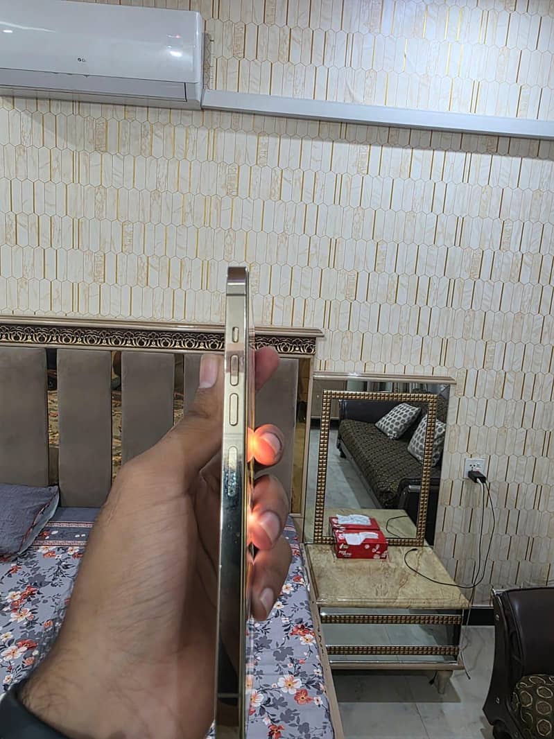 Apple iPhone 13 Pro Max 10