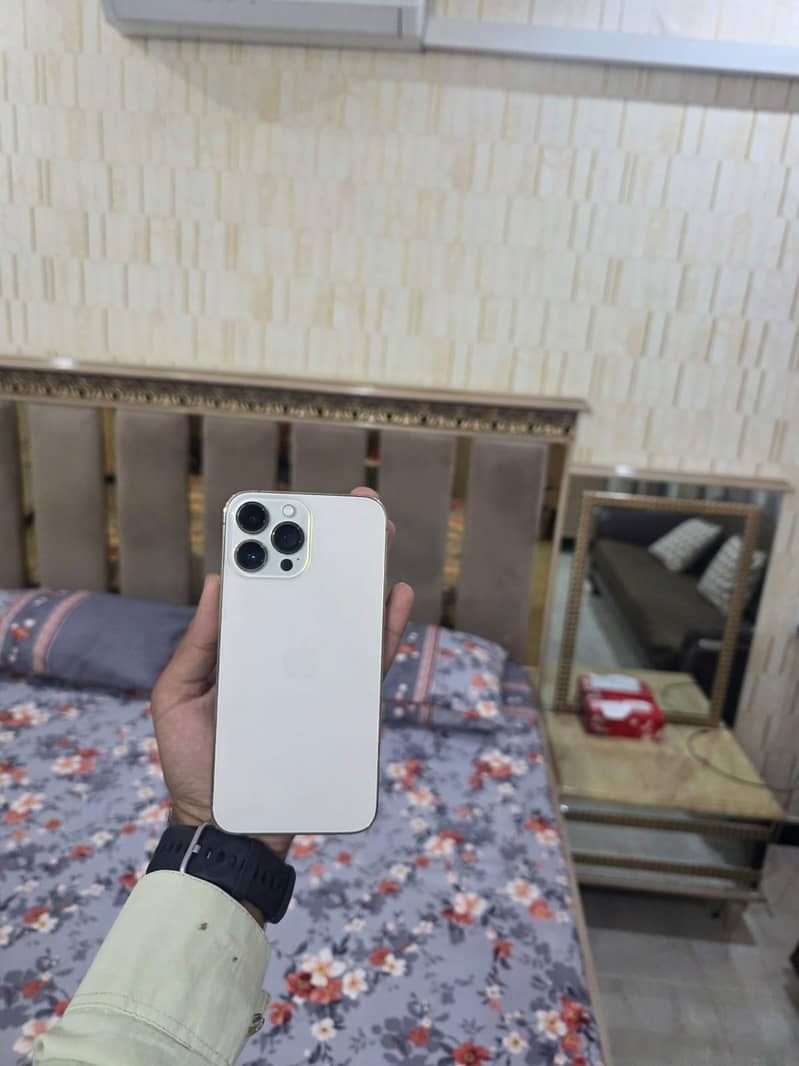 Apple iPhone 13 Pro Max 13