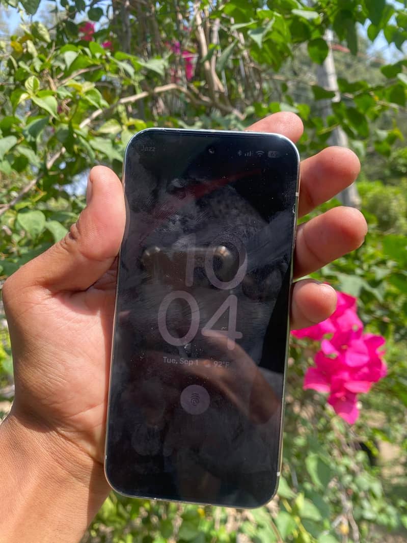 Google Pixel 9 Pro 1