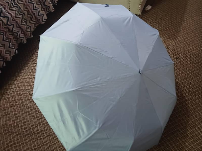 Improted Umbrella 6