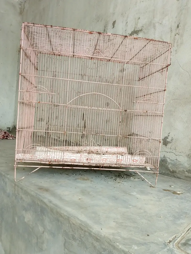 مضبوط اور چوڑا پنجرا — photo 2