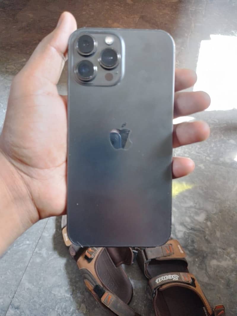 Apple iPhone 13 Pro Max 1