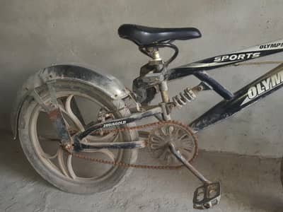 oylampia bicycle
