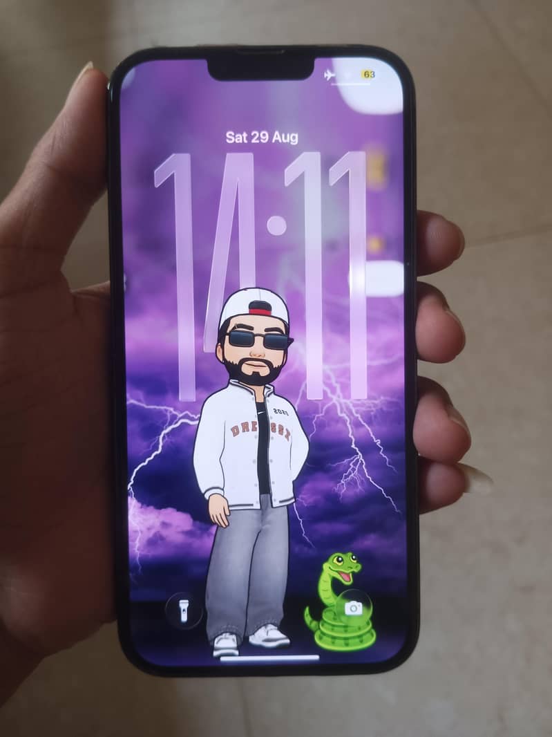 Apple iPhone 13 Pro Max 5