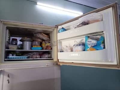 Jamboo Size Fridge