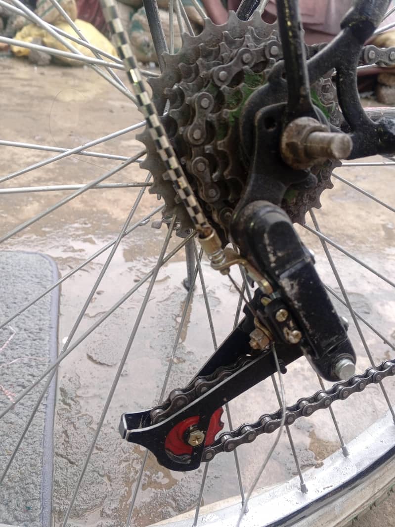 PHONIX CYCLE 2