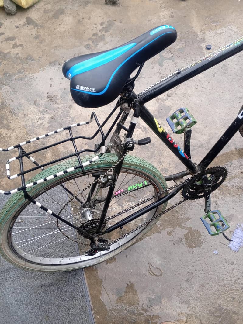 PHONIX CYCLE 4