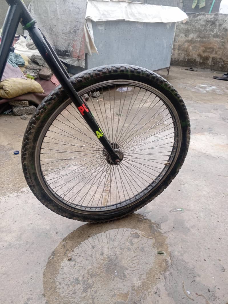 PHONIX CYCLE 5